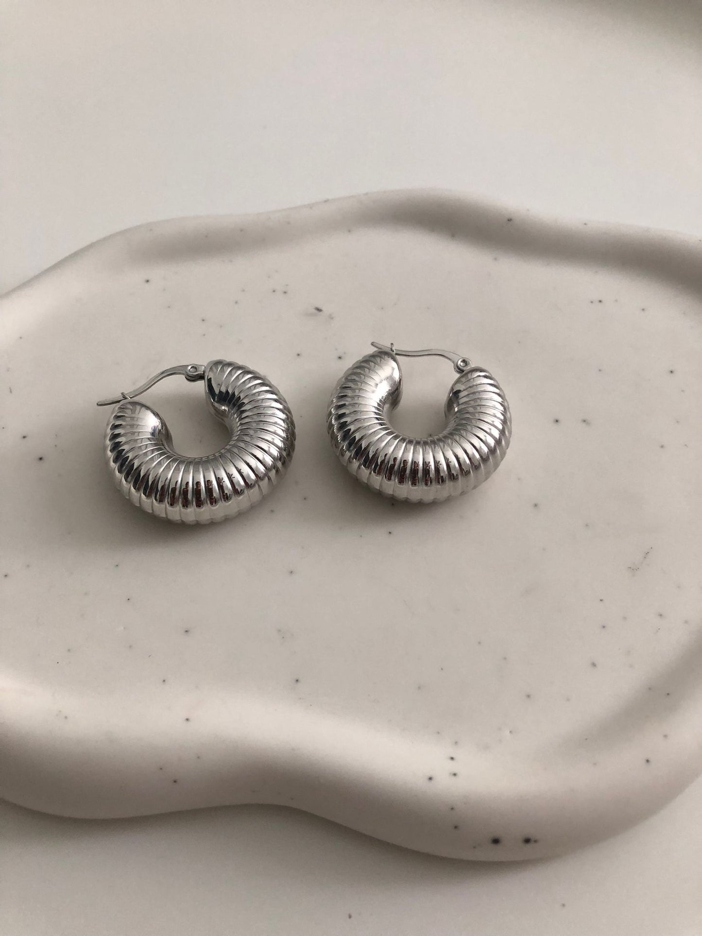 stainless steel hoop earringss